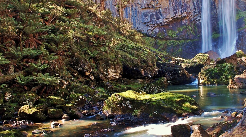 This is not your classic Ebor Falls shot. This was taken at the base of the second falls, a difficult walk down a serious downhill. Still, it was worth it for the photo.