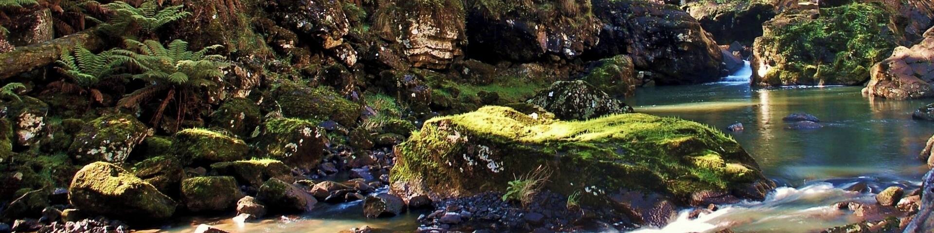 This is not your classic Ebor Falls shot. This was taken at the base of the second falls, a difficult walk down a serious downhill. Still, it was worth it for the photo.