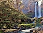 A waterfall cascading down a rocky cliff surrounded by lush greenery and ferns.