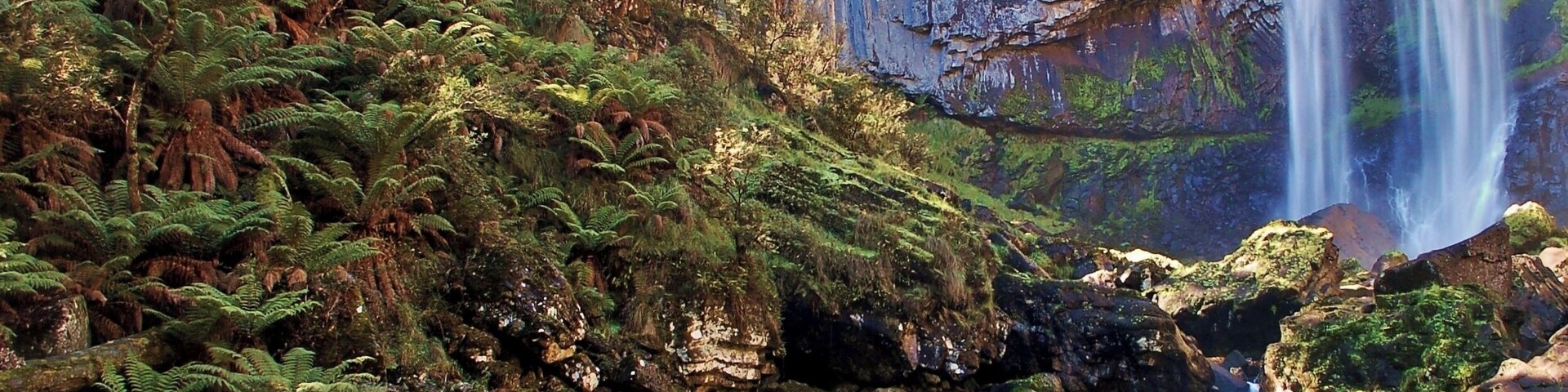 This is not your classic Ebor Falls shot. This was taken at the base of the second falls, a difficult walk down a serious downhill. Still, it was worth it for the photo.