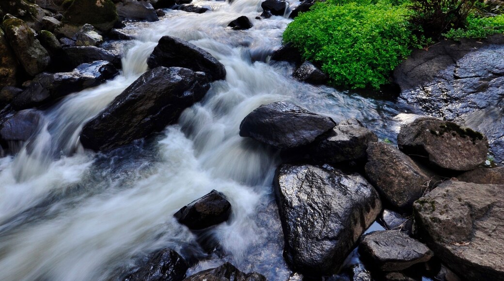 I've been here quite a few times and been down to this section twice. It's the lower of the two main falls and requires a good sense of balance and bushwalking skills to do it but, for me, they're a more photogenic cascade than the much more popular upper falls.
Be prepared to be out of breath when you return to the main walk along the top of the escarpment.