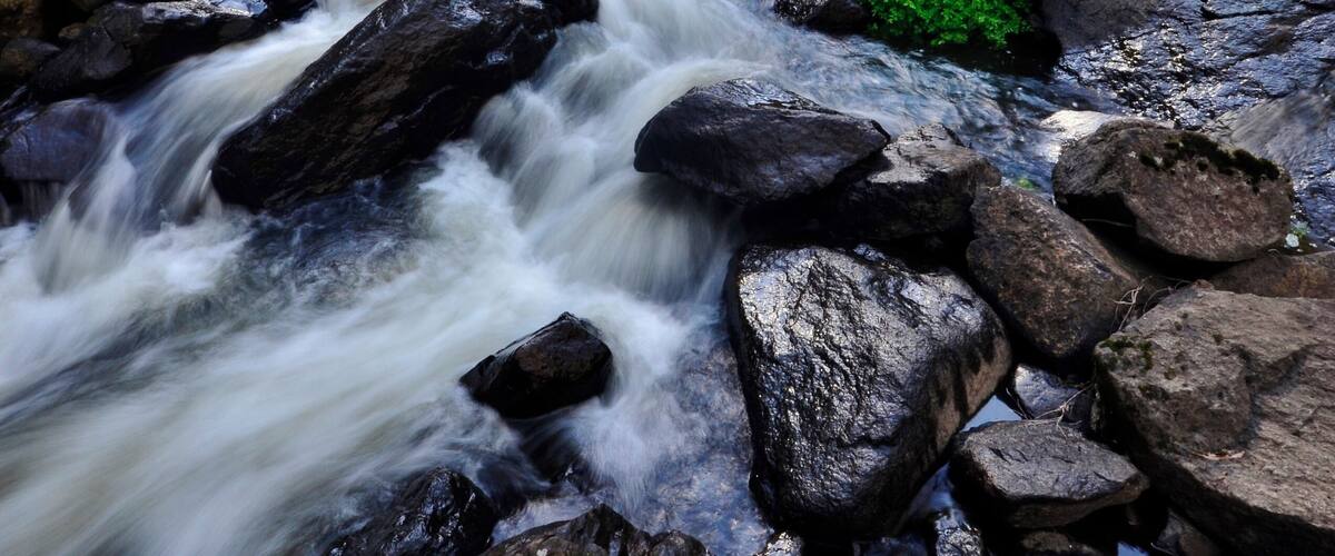 I've been here quite a few times and been down to this section twice. It's the lower of the two main falls and requires a good sense of balance and bushwalking skills to do it but, for me, they're a more photogenic cascade than the much more popular upper falls.
Be prepared to be out of breath when you return to the main walk along the top of the escarpment.