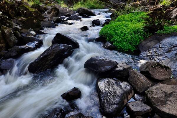 I've been here quite a few times and been down to this section twice. It's the lower of the two main falls and requires a good sense of balance and bushwalking skills to do it but, for me, they're a more photogenic cascade than the much more popular upper falls.
Be prepared to be out of breath when you return to the main walk along the top of the escarpment.