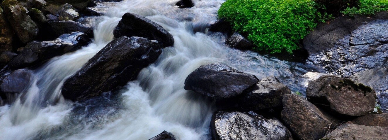 I've been here quite a few times and been down to this section twice. It's the lower of the two main falls and requires a good sense of balance and bushwalking skills to do it but, for me, they're a more photogenic cascade than the much more popular upper falls.
Be prepared to be out of breath when you return to the main walk along the top of the escarpment.