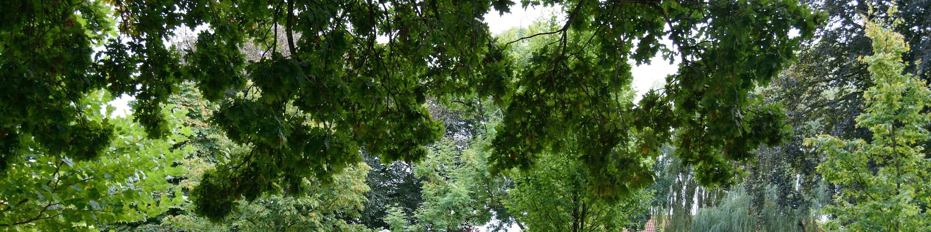 Impressionen aus dem Stadtpark Wilster Ehrenmal