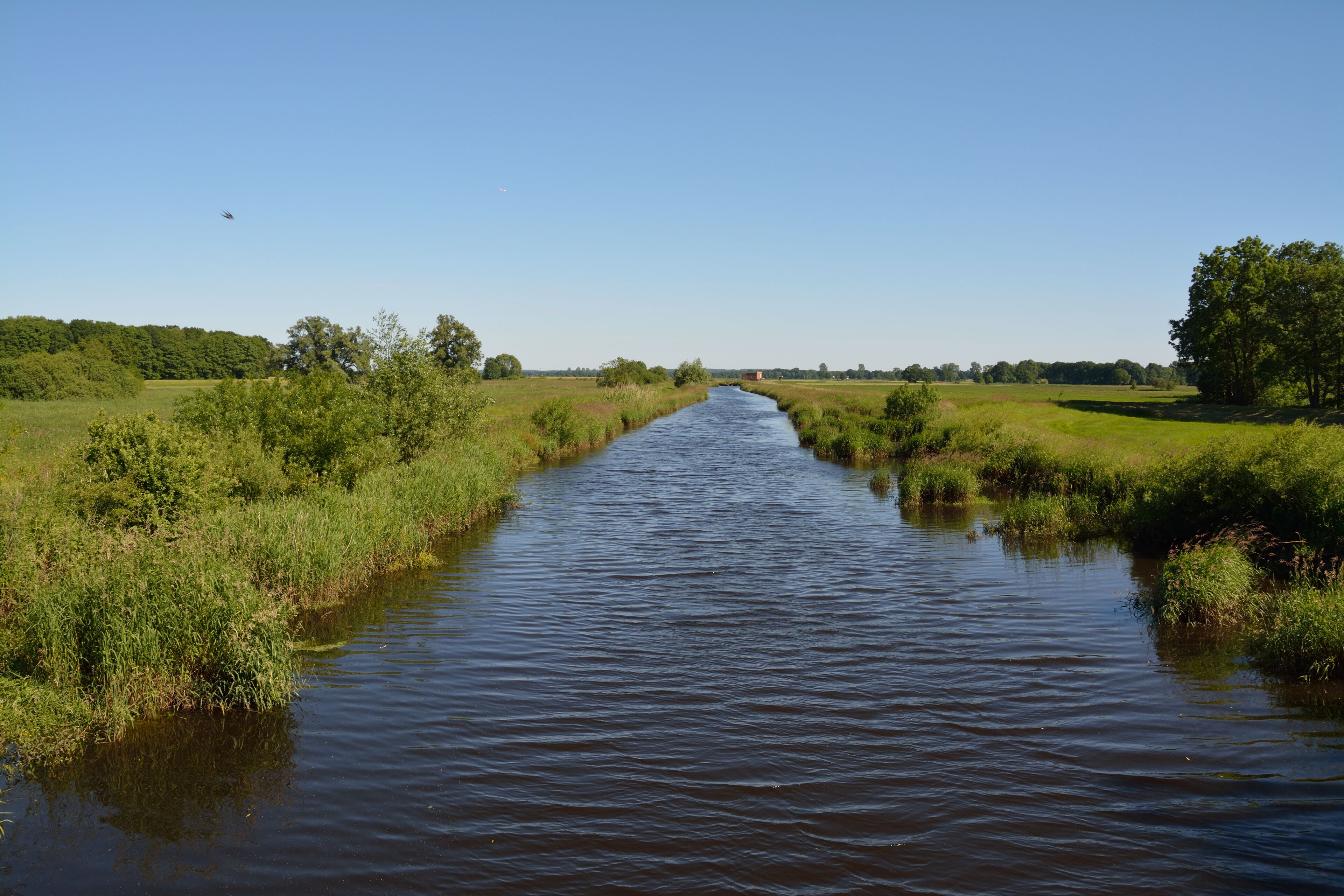A narrow waterway flanked by lush greenery and trees under a clear blue sky.