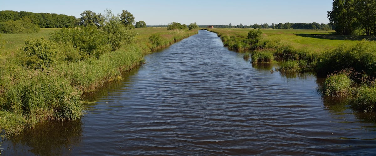A narrow waterway flanked by lush greenery and trees under a clear blue sky.