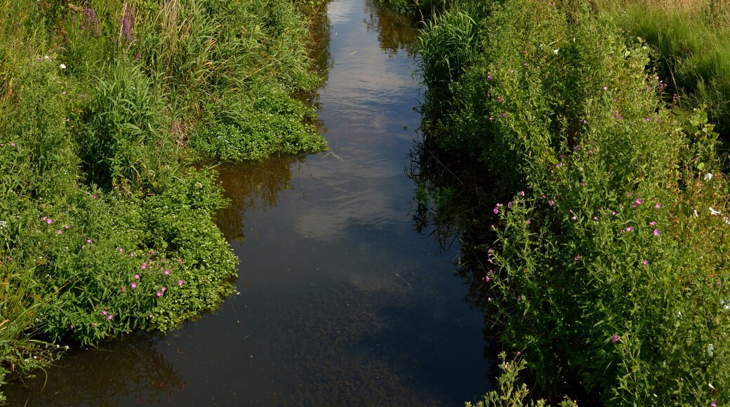Impressionen der Mühlenbek, einem kleinen Nebenbach der Stör. Die Mühlenbek in Wrist an der Landesstrasse 295.