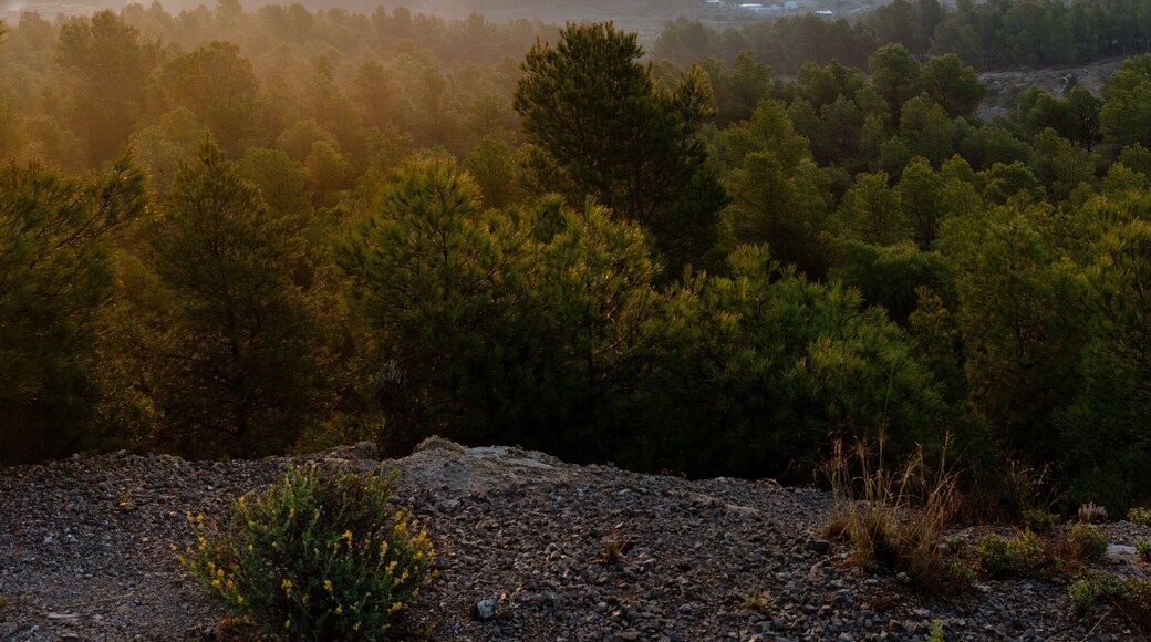 Stunning little town with an epic castle, this location has tonnes of photography opportunities.