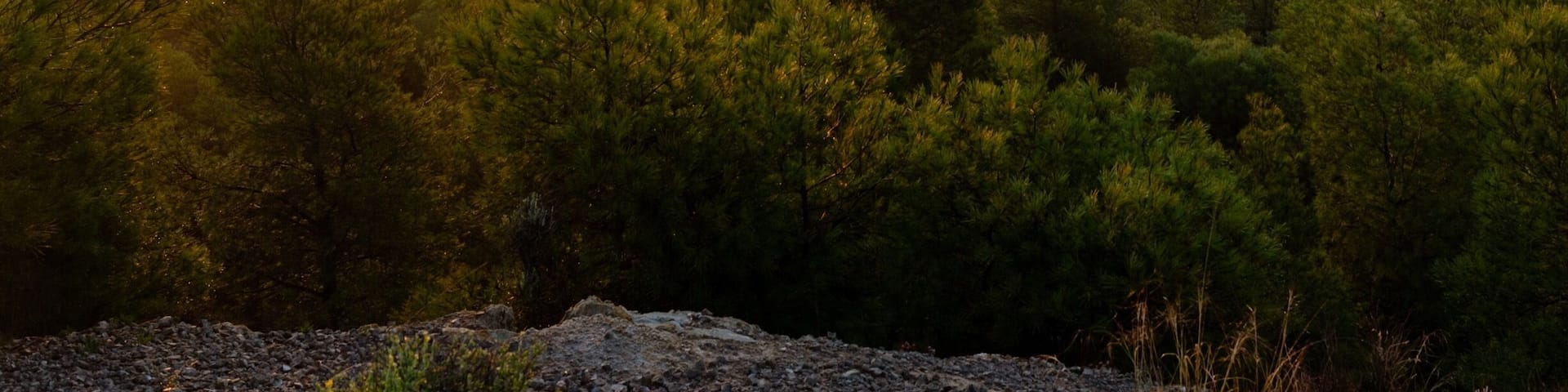 Stunning little town with an epic castle, this location has tonnes of photography opportunities.