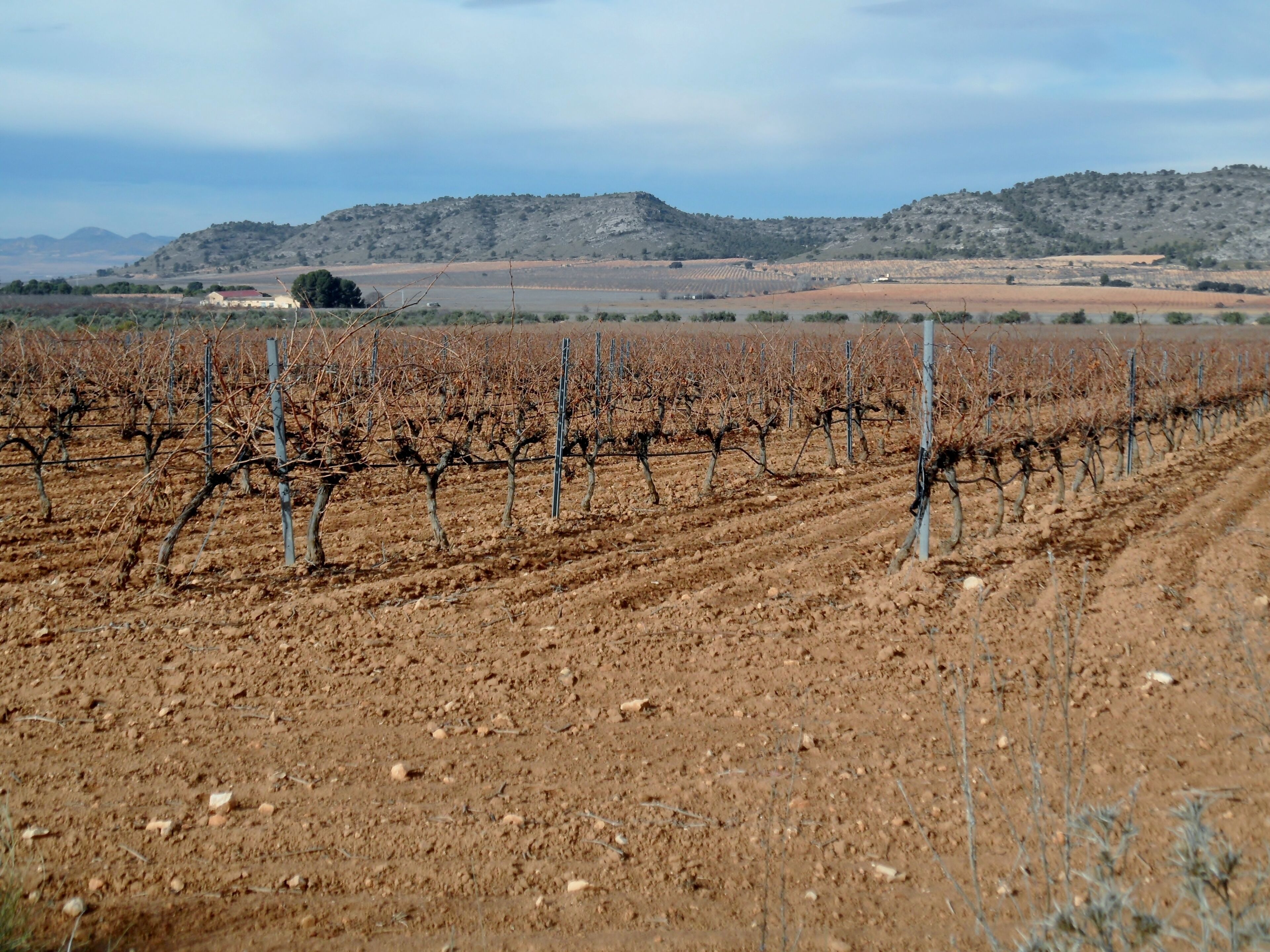 Colonia de la Sierra de Salinas, Villena
