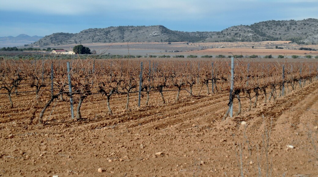 Colonia de la Sierra de Salinas, Villena