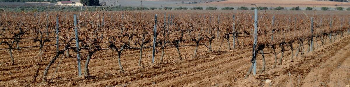 Colonia de la Sierra de Salinas, Villena