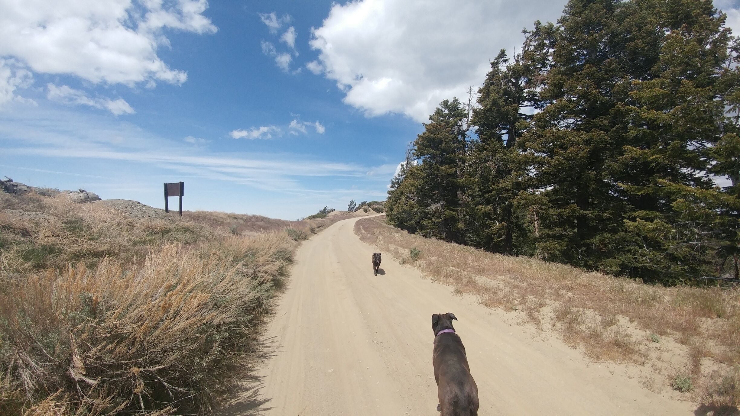 Road to guffy camp ground behind mtn High local ski lift!