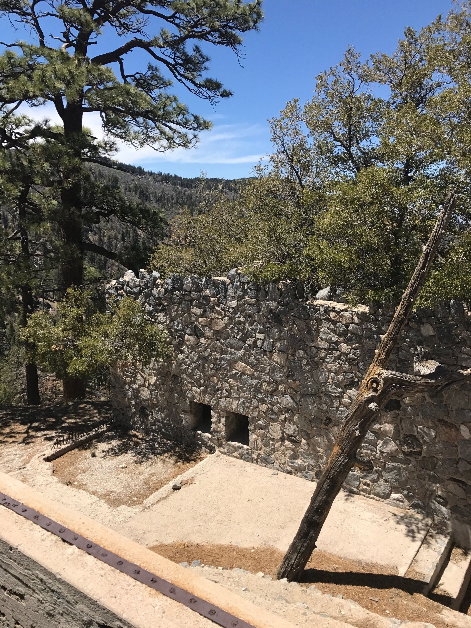 Ruins of the old abandoned zoo from the 20's