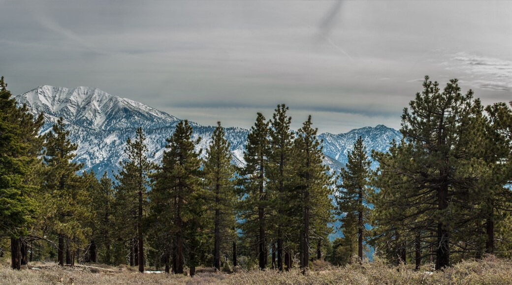 Panoramic view of Blue Ridge covered in snow of Angeles National Forest.