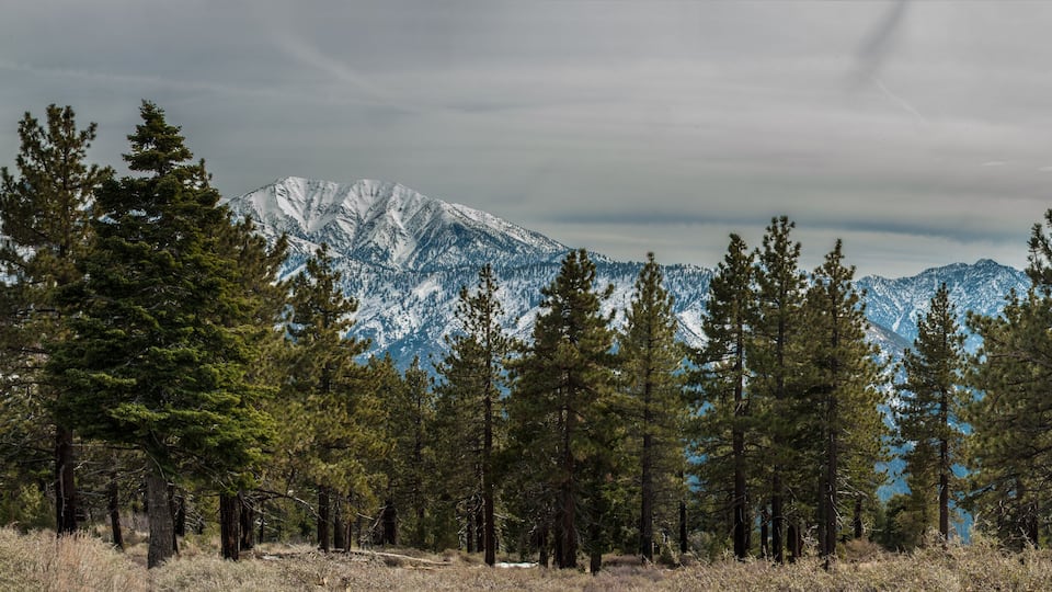 A mountainous landscape with snow-capped peaks, dense coniferous forest, and a cloudy sky.