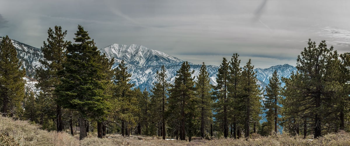 Panoramic view of Blue Ridge covered in snow of Angeles National Forest.