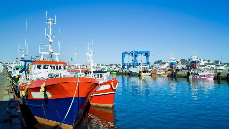 A harbor with various boats docked, including a prominent red and blue boat in the foreground.