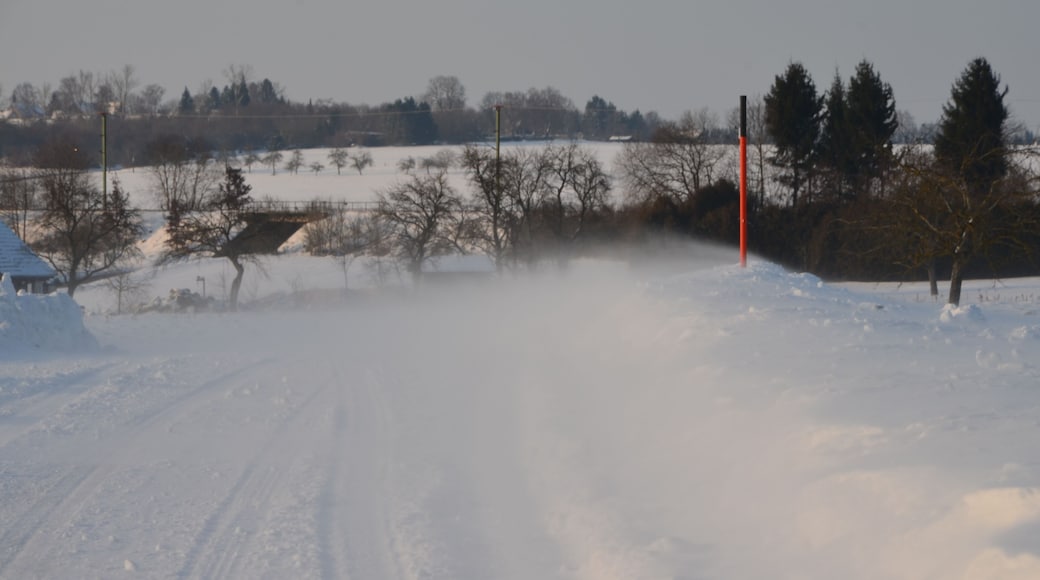 Winter 2015 bei Eutingen im Gäu
