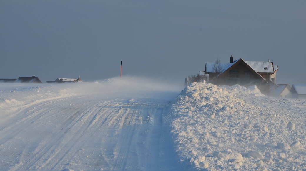 Winter 2015 bei Eutingen im Gäu