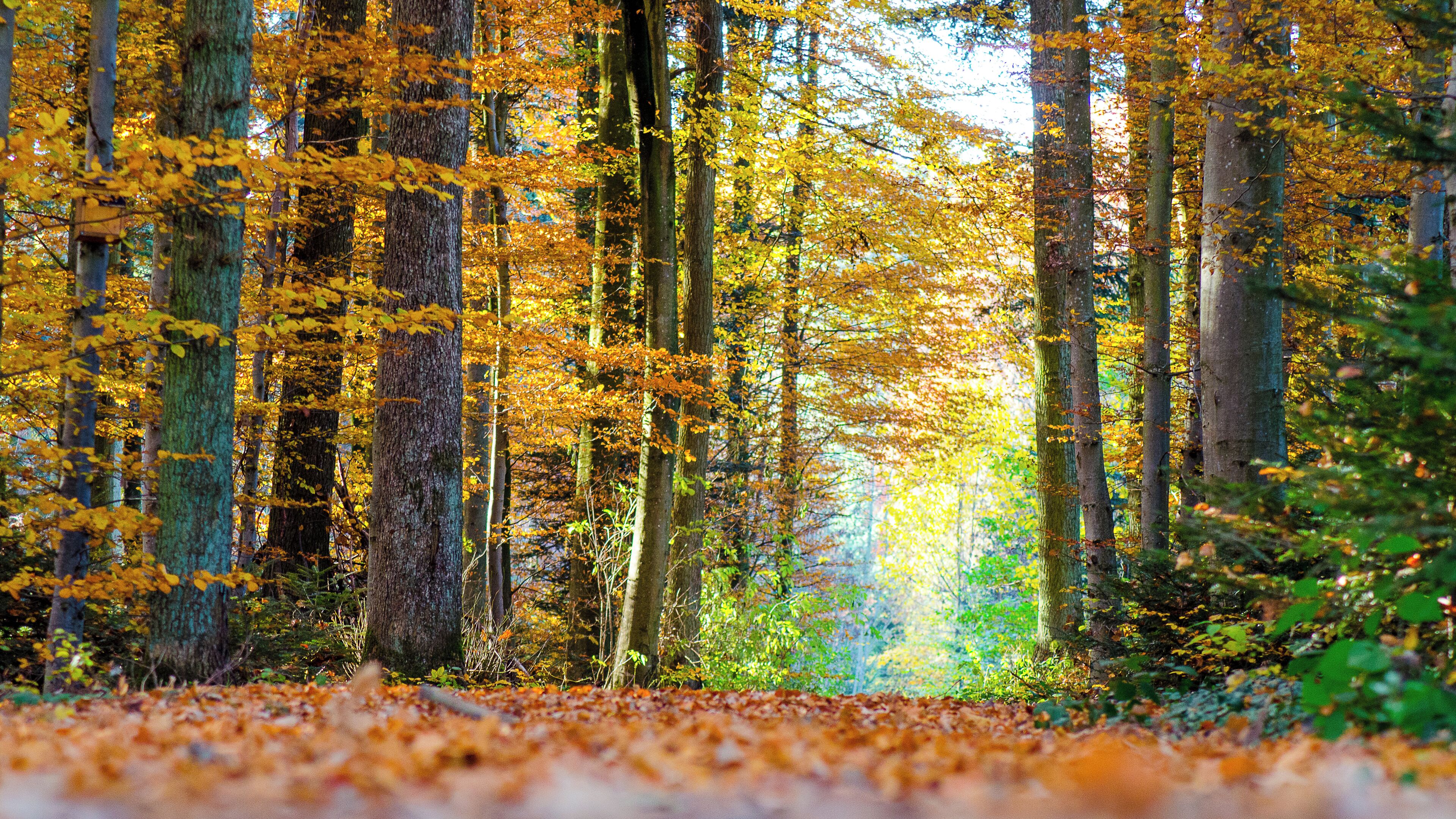 Witthäule bei Eutingen im Gäu