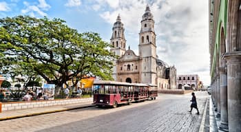Zona Centro