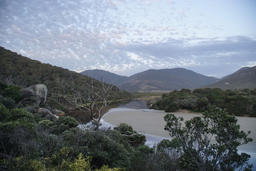 On an evening hike at Tidal River. #lifeatexpedia