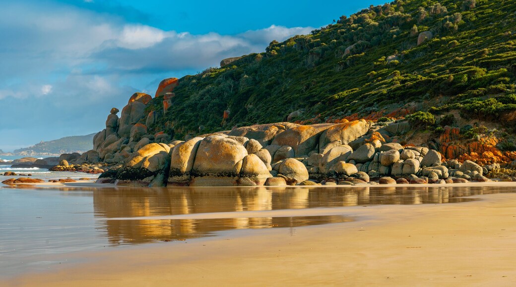Panorama of Whiskey beach, Wilsons Promontory, Victoria, Australia
