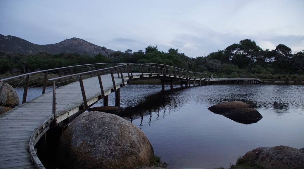 Picture taken at dusk when visiting the Tidal River in Wilsons Promontory. We were surrounded by wombat and wallabies. #lifeatexpedia