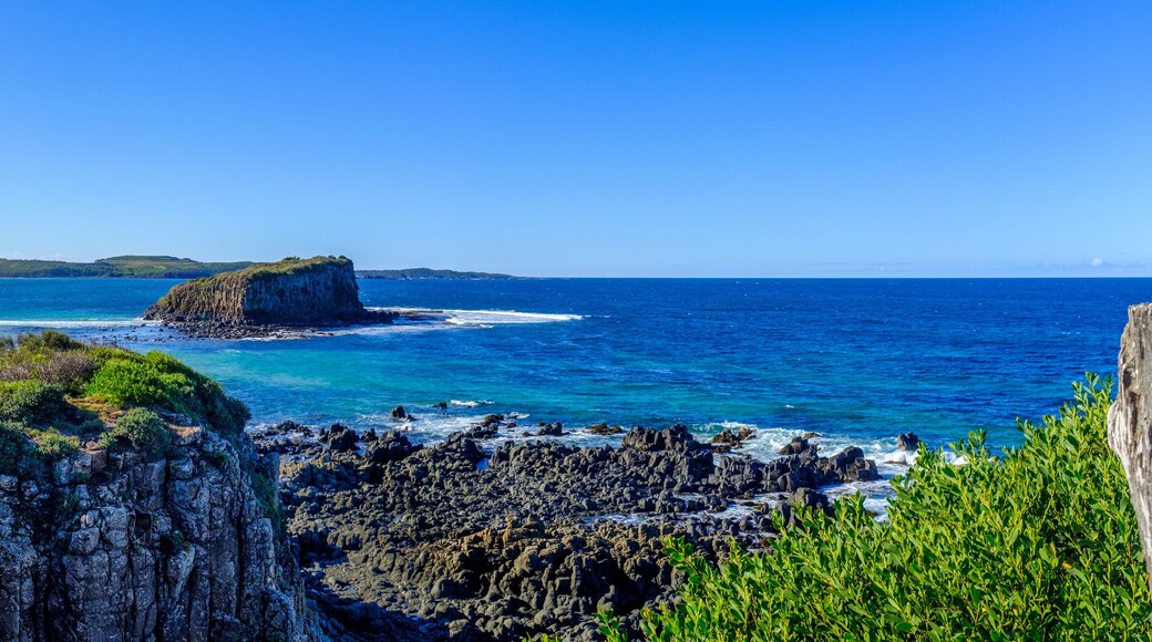 Australian landscape panorama view of the mouth of the Minnamurra river, out to Stack Island in the South Pacific Ocean, Minnamurra, New South Wales, Australia