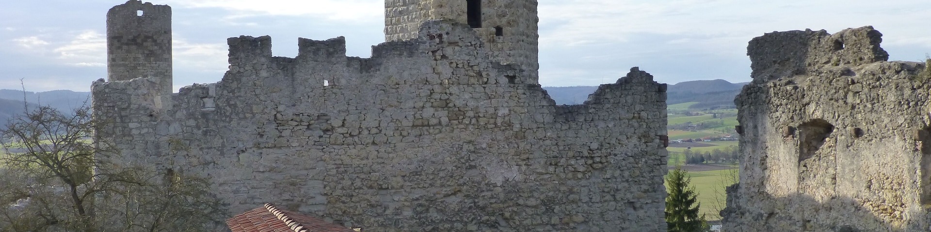Burgruine Brandenburg; Blick vom Hocheingang des Wohnturms auf die Burganlage mit dem sechseckigem Bergfried der Ostburg und links dahinter dem runden Bergfried der Westburg