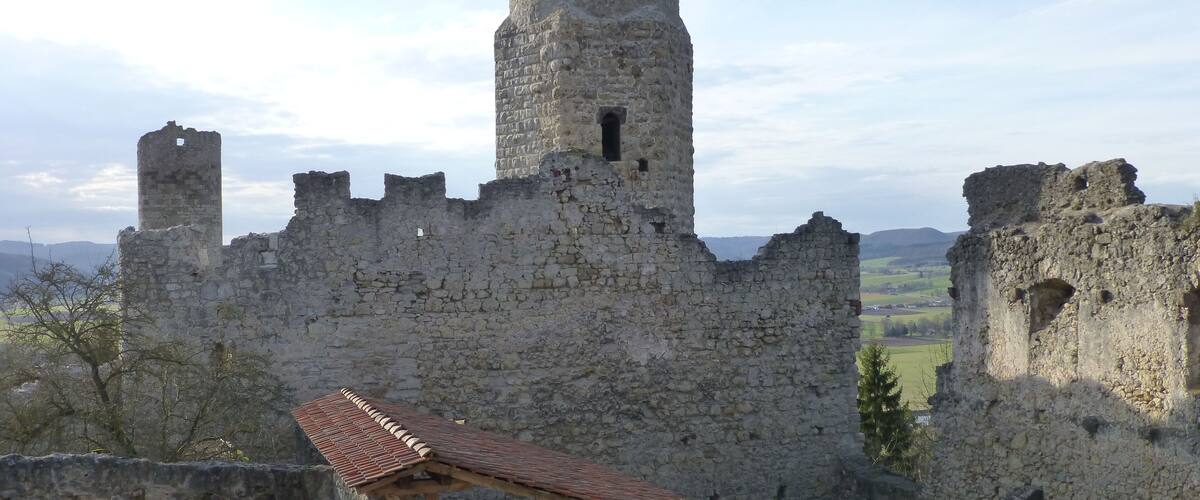 A medieval stone castle with a tower, ruins, and a small wooden structure.
