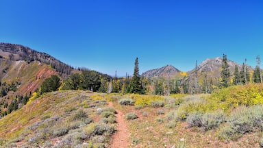 Mount Nebo Wilderness Peak 11,933 feet, autumn panoramic views hiking, highest peak in the Wasatch Range of Utah, Uinta National Forest, United States. USA.
