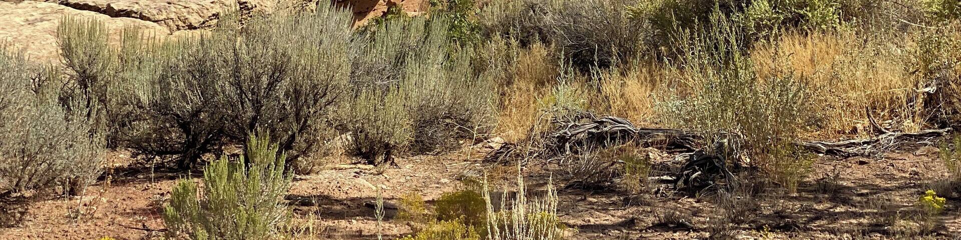 Hovenweep National Monument