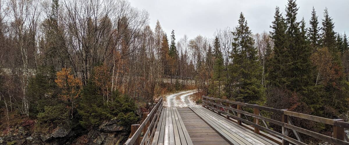 A wooden bridge in a forest with a dirt path leading to it.
