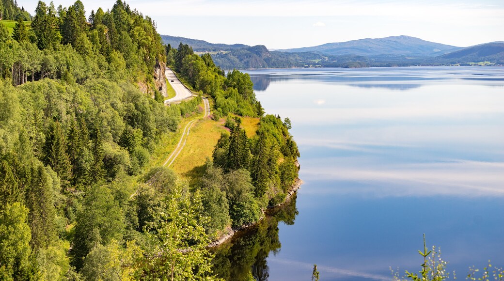 Snasa lake in Norway, scenic nature