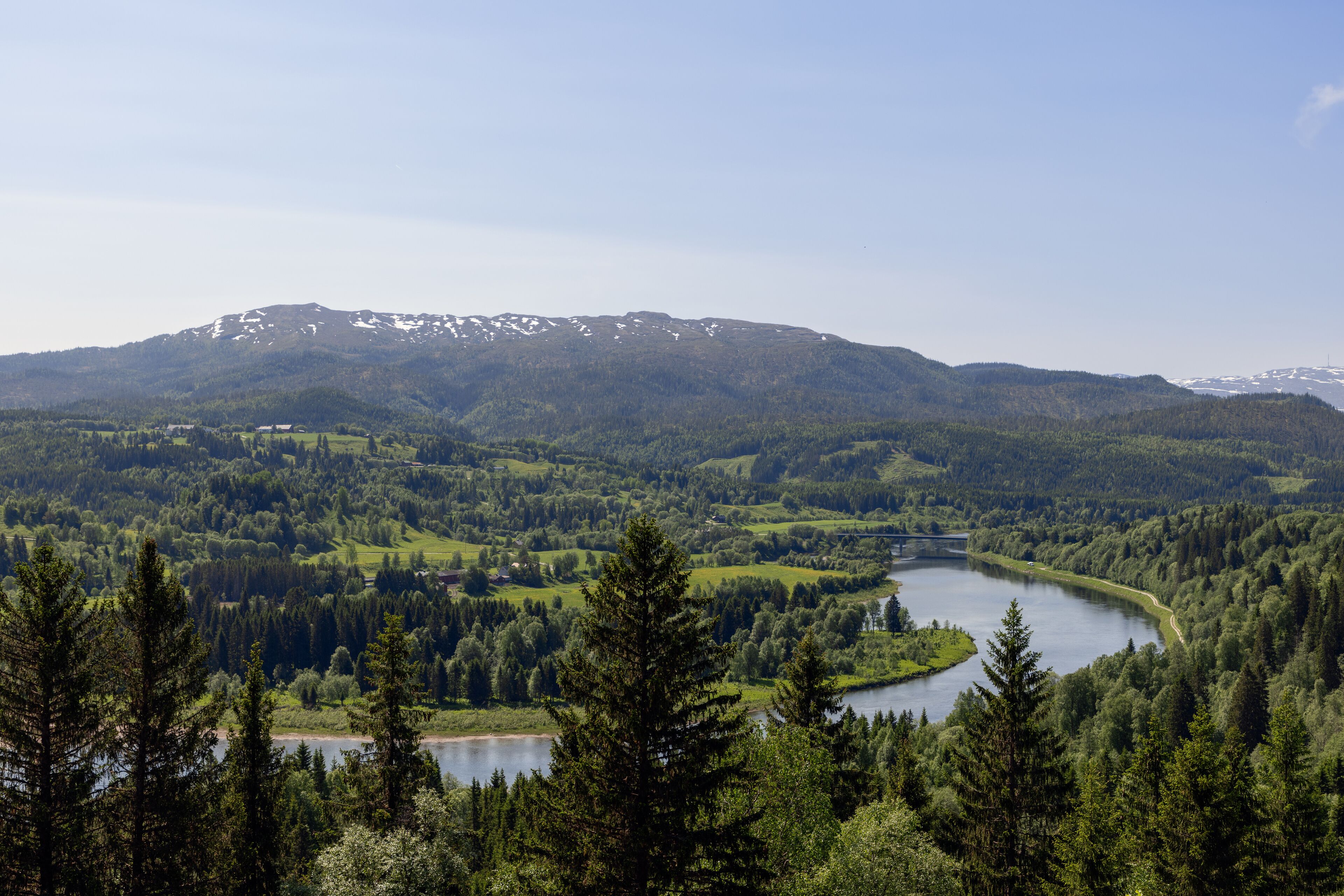 Summer day in Grong kommune, Trondelag, Norway, showcasing a panoramic view of a meandering river bordered by dense forests under a clear blue sky