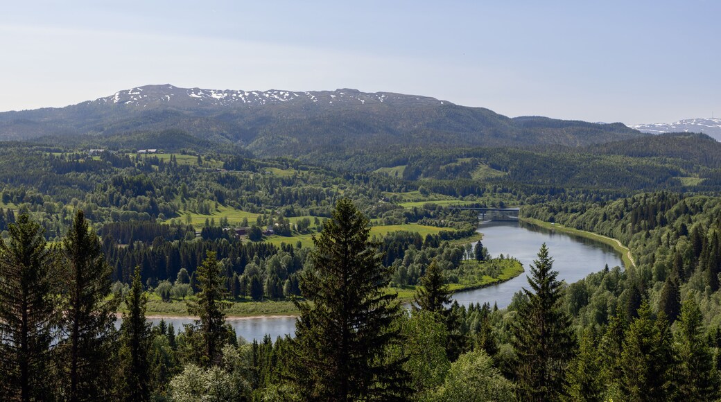 Summer day in Grong kommune, Trondelag, Norway, showcasing a panoramic view of a meandering river bordered by dense forests under a clear blue sky