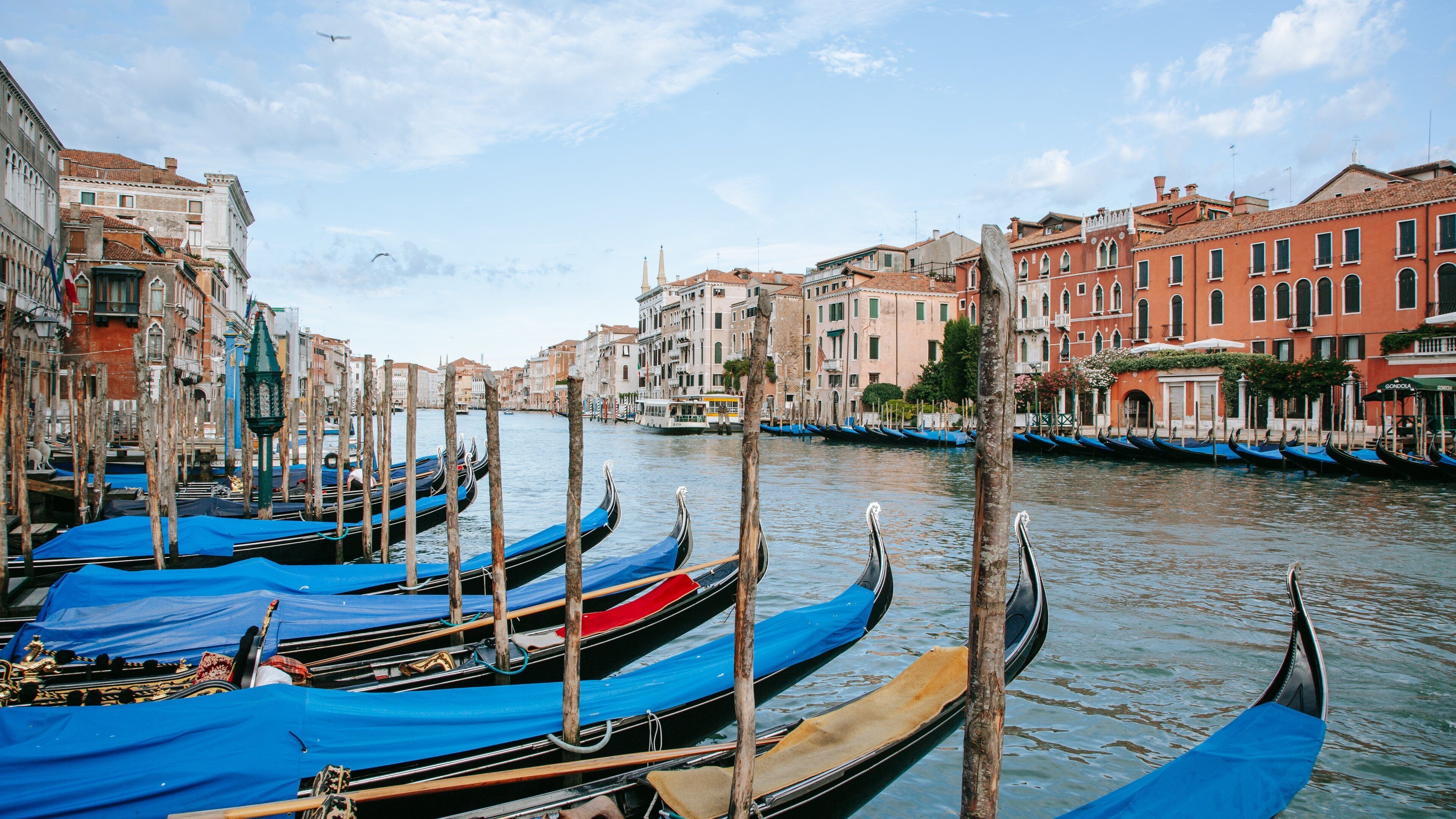 Grand Canal showing a river or creek and a bay or harbor