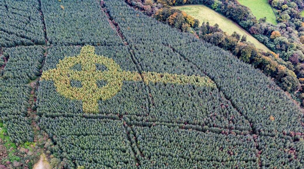 Aerial view of celtic cross growing in a forest in County Donegal - Ireland