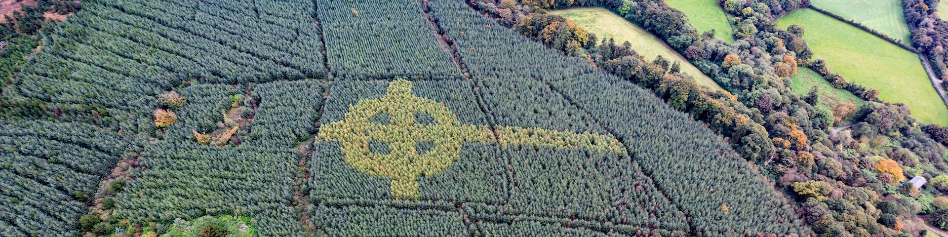 Aerial view of celtic cross growing in a forest in County Donegal - Ireland