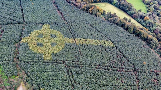 Aerial view of celtic cross growing in a forest in County Donegal - Ireland