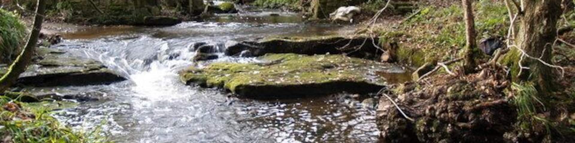 Footbridge and Ford on the edge of Todburn Wood