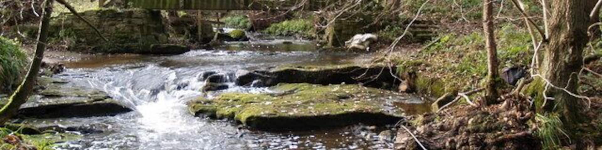 Footbridge and Ford on the edge of Todburn Wood