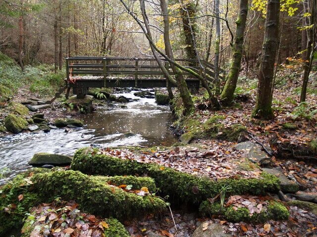 Footbridge over March Burn
