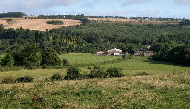 Dipton Foot Dipton Foot Farm.
