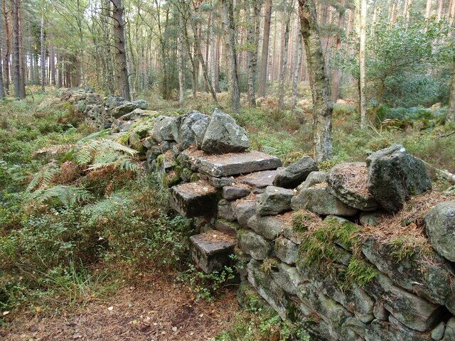 Stile in Robson's Plantation