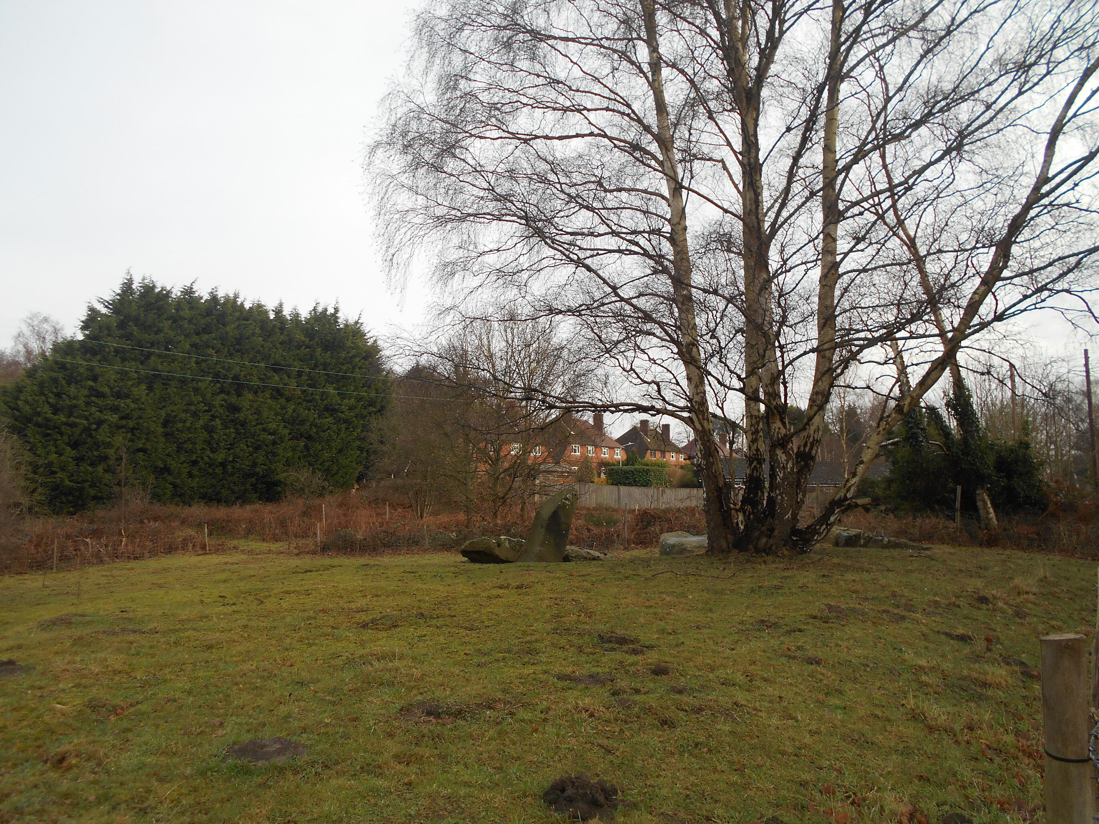 Addington Long Barrow, one of the Medway Megaliths, in the village of Addington, Kent. The barrow is cut in half by a modern road. This photo is of the portion to the north of the road, which incorporates most of the sarstens.