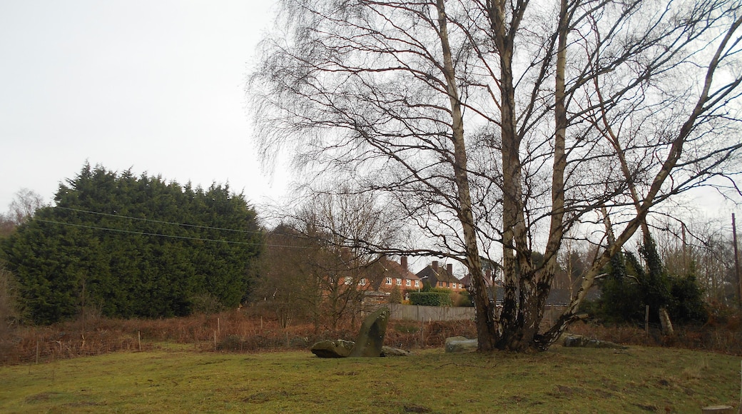 Addington Long Barrow, one of the Medway Megaliths, in the village of Addington, Kent. The barrow is cut in half by a modern road. This photo is of the portion to the north of the road, which incorporates most of the sarstens.